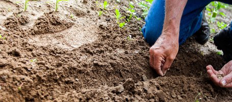 How to till soil