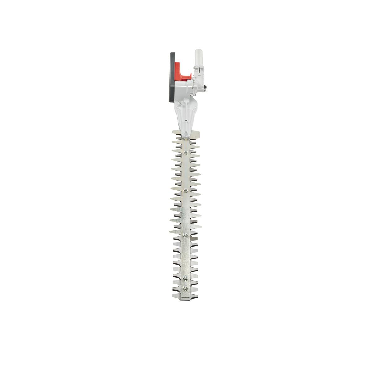 Battery-powered brushcutters BC 241 D, BC 300 D and BCi 530 D - Hedgetrimmer application_3 | Oleo-Mac
