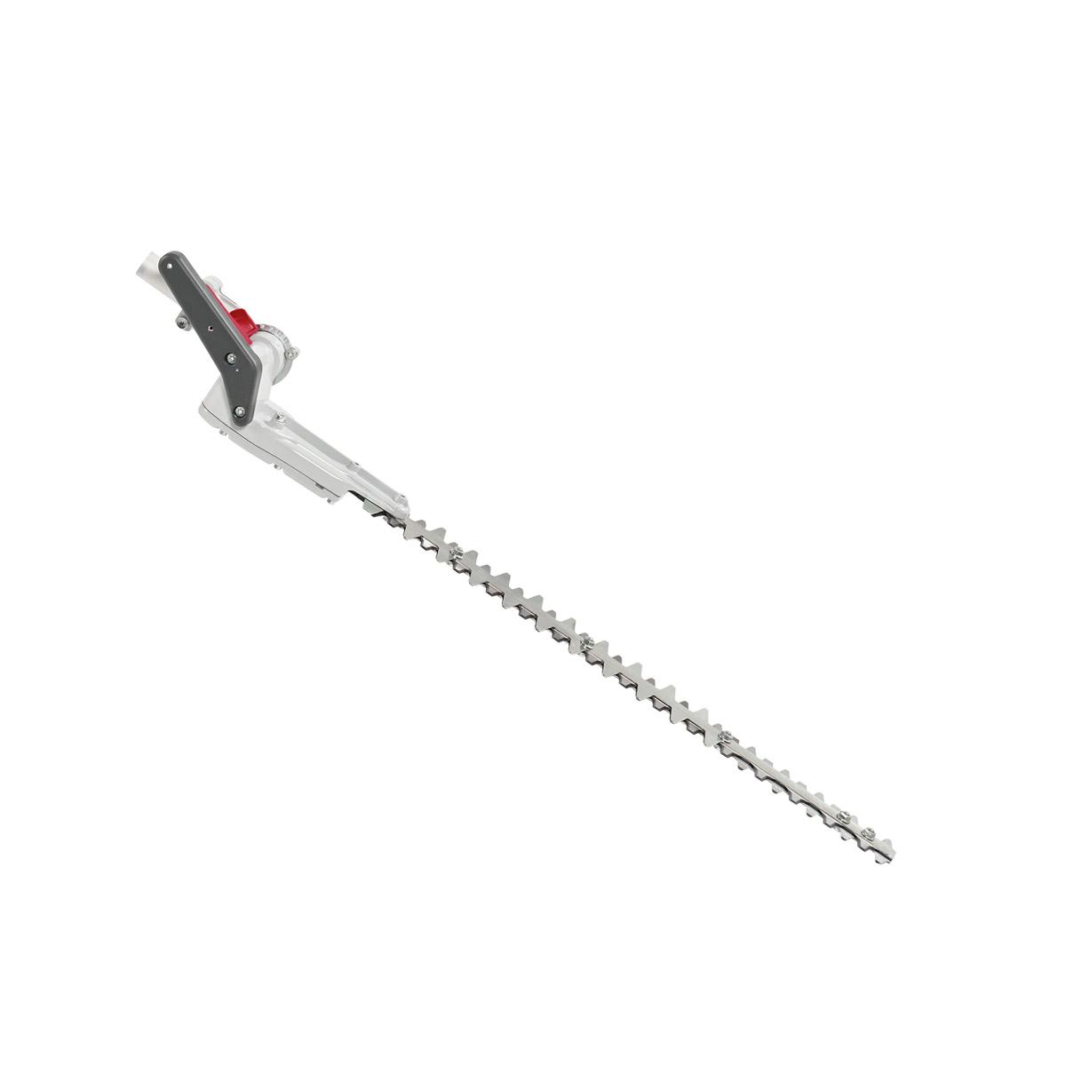 Battery-powered brushcutters BC 241 D, BC 300 D and BCi 530 D - Hedgetrimmer application_2 | Oleo-Mac