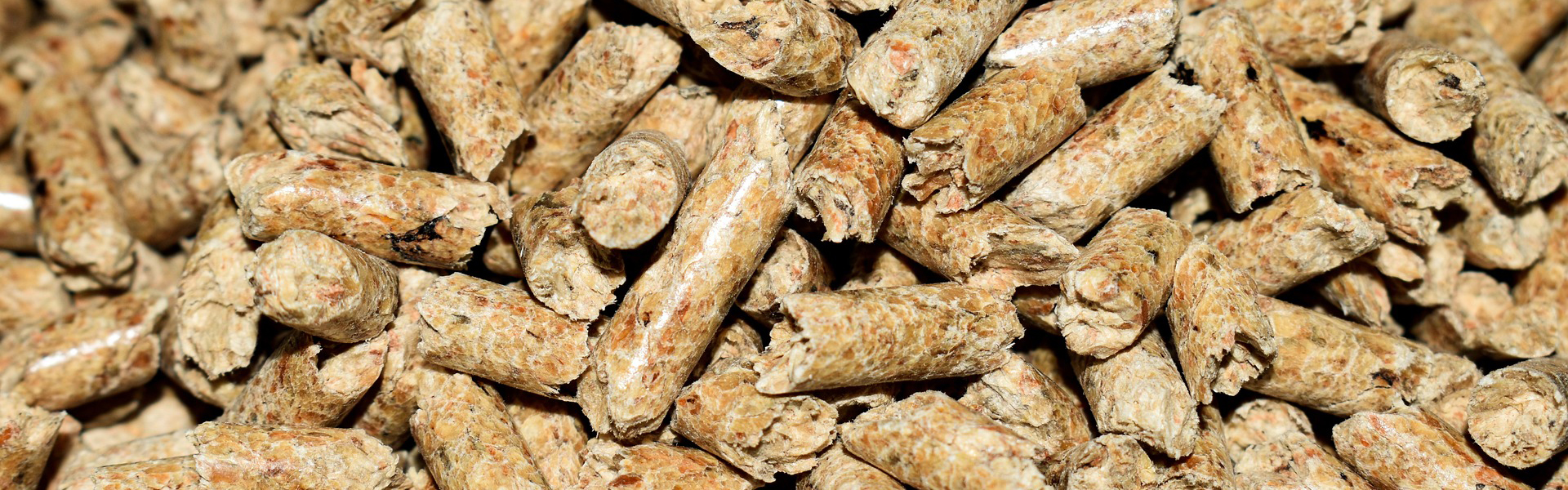 The easy and simple way to make wood pellets at home – Oleomac