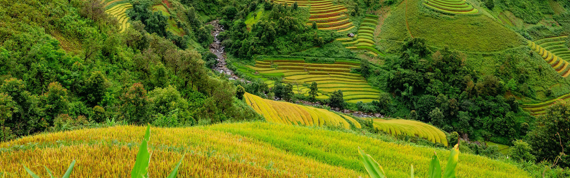 Terracing may not be suitable on these extremely steep slopes