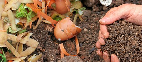 DIY garden compost bin: practical tips for building one