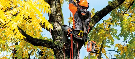 The technique of treeclimbing