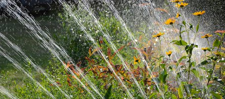 Self-Priming Water Pump: Your Irrigation Ally