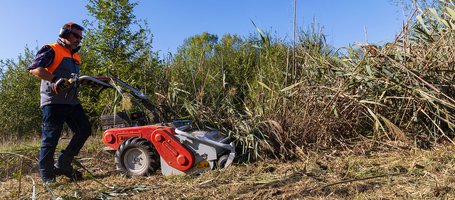 New WB 50 K800H flail-mower