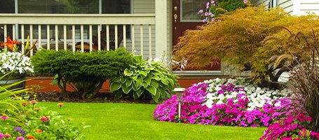 When and how to sow a lawn