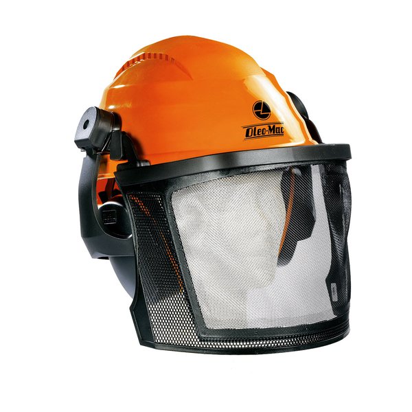 Mesh face shield