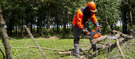 How to use a chainsaw safely? Here are the rules you should follow
