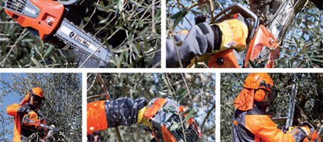 New GST 250 pruning chainsaw
