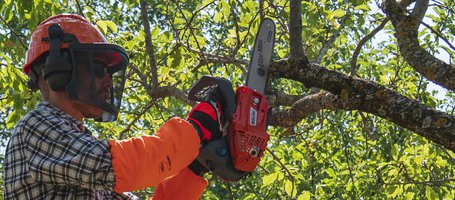 GSTH 240 chainsaw